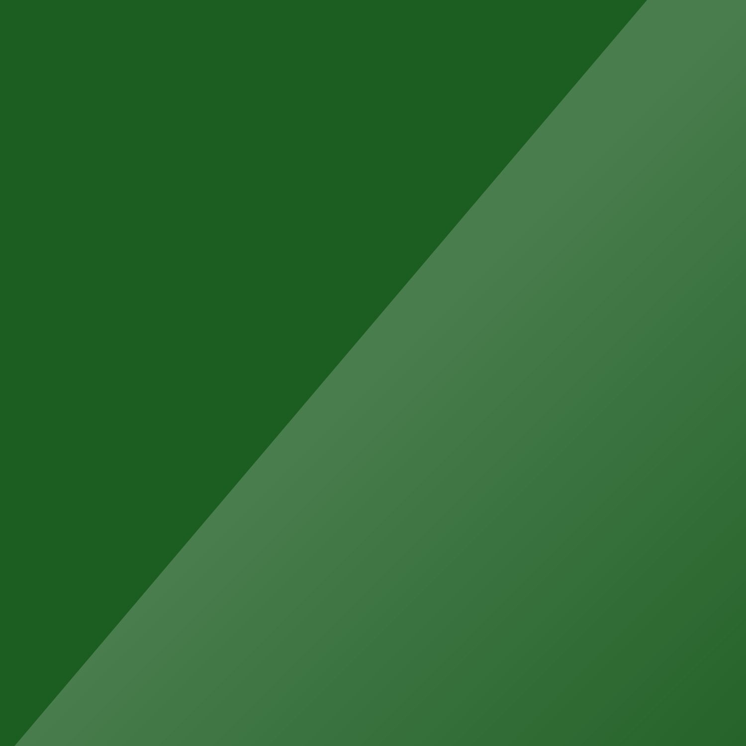 197 - GL Kranti Green