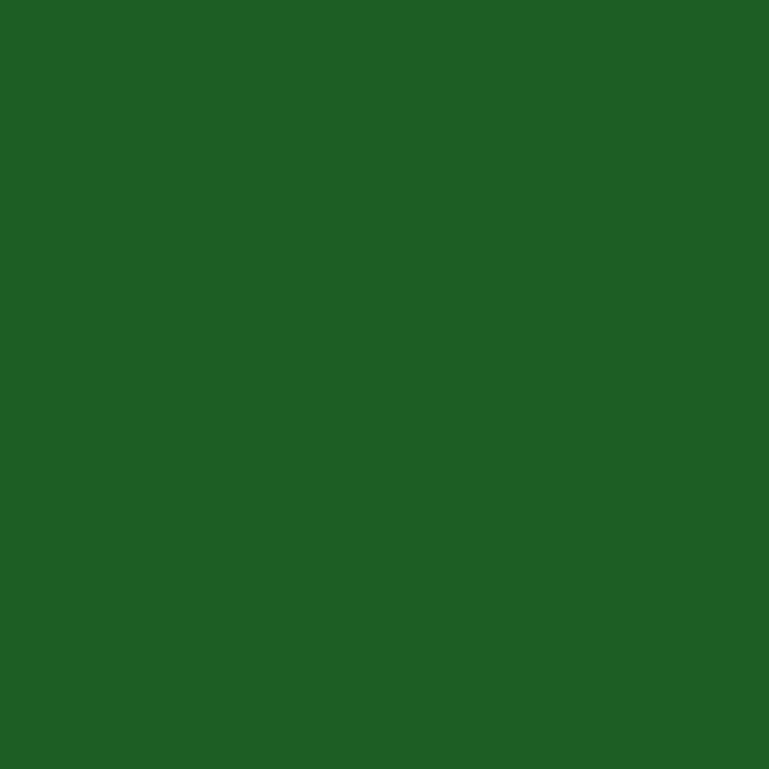 197-SD-Kranti-Green