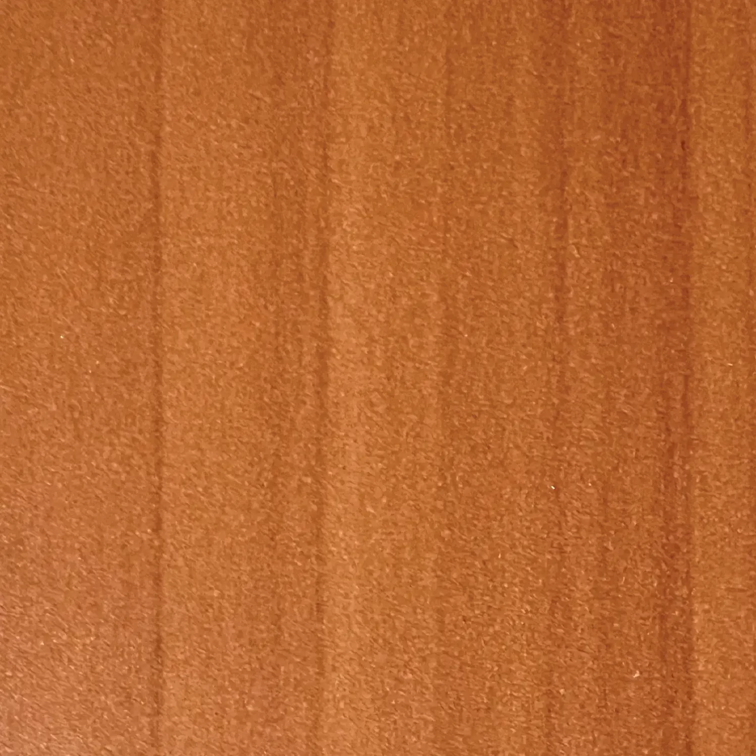 2013-SD-Anegre-Cherry