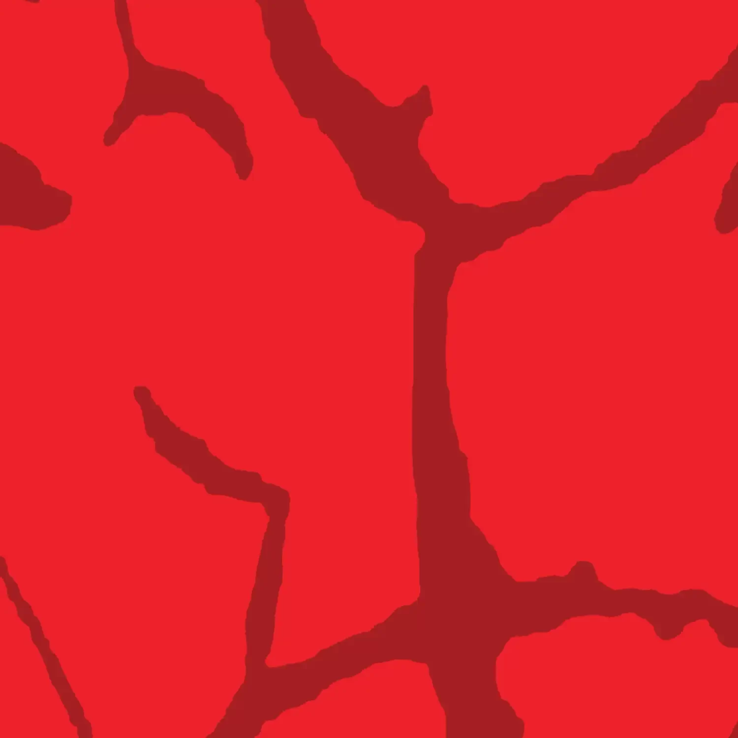 572-SGP-Robinhood-Red