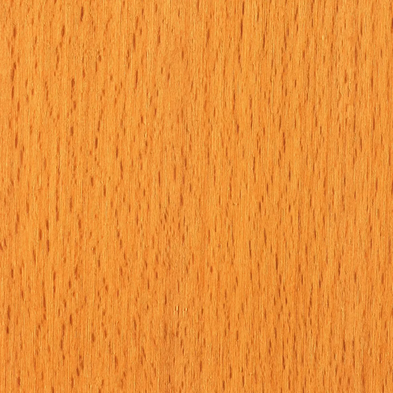 Abedul-Mate