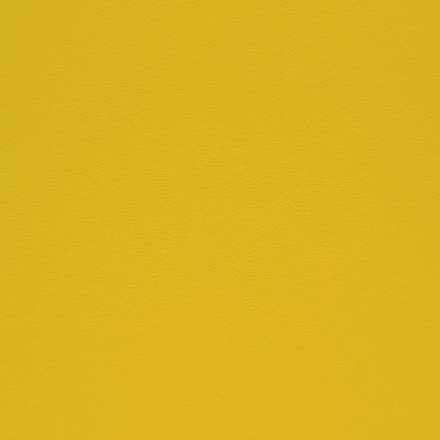 Amarillo-Mate